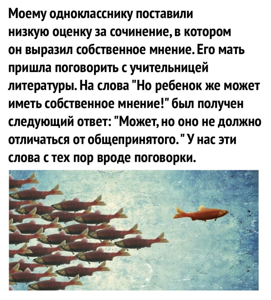 Моему однокласснику поставили низкую оценку за сочинение в котором он выразил собственное мнение Его мать пришла поговорить с учительницей литературы На слова Но ребенок же может иметь собственное мнение был получен следующий ответ Может но оно не должно отличаться от общепринятого У нас эти слова с тех пор вроде поговорки