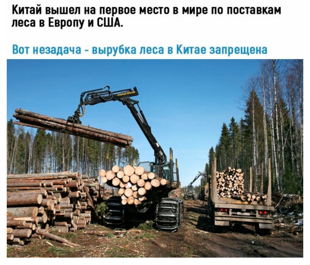 И вышел на первое место В мире ПО поставкам а н е Щ е р а 3 е т к В а с е п а к 6 у В Ы в а а т е и Т о в леса в Европу и США Кита