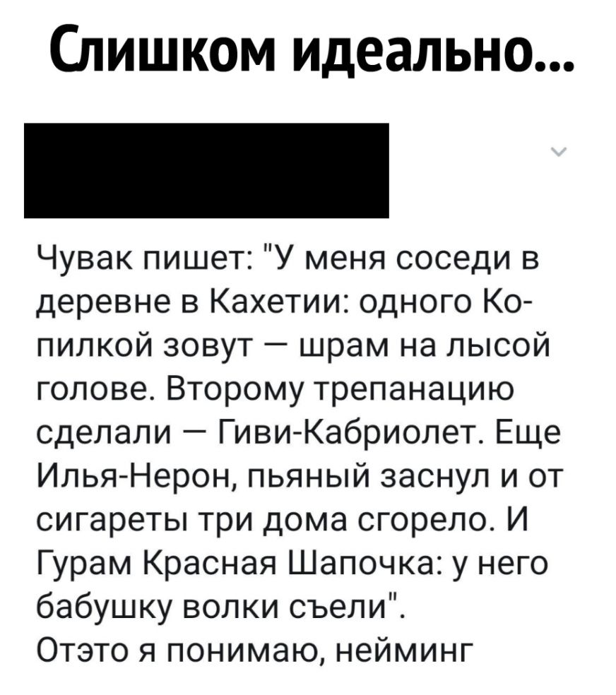 Слишком идеально Чувак пишет У меня соседи в деревне в Кахетии одного Ко пилкой зовут шрам на лысой голове Второму трепанацию сделали ГивиКабриолет Еще Илья Нерон пьяный заснул и от сигареты три дома сгорело И Гурам Красная Шапочка у него бабушку волки съели Отэто я понимаю нейминг
