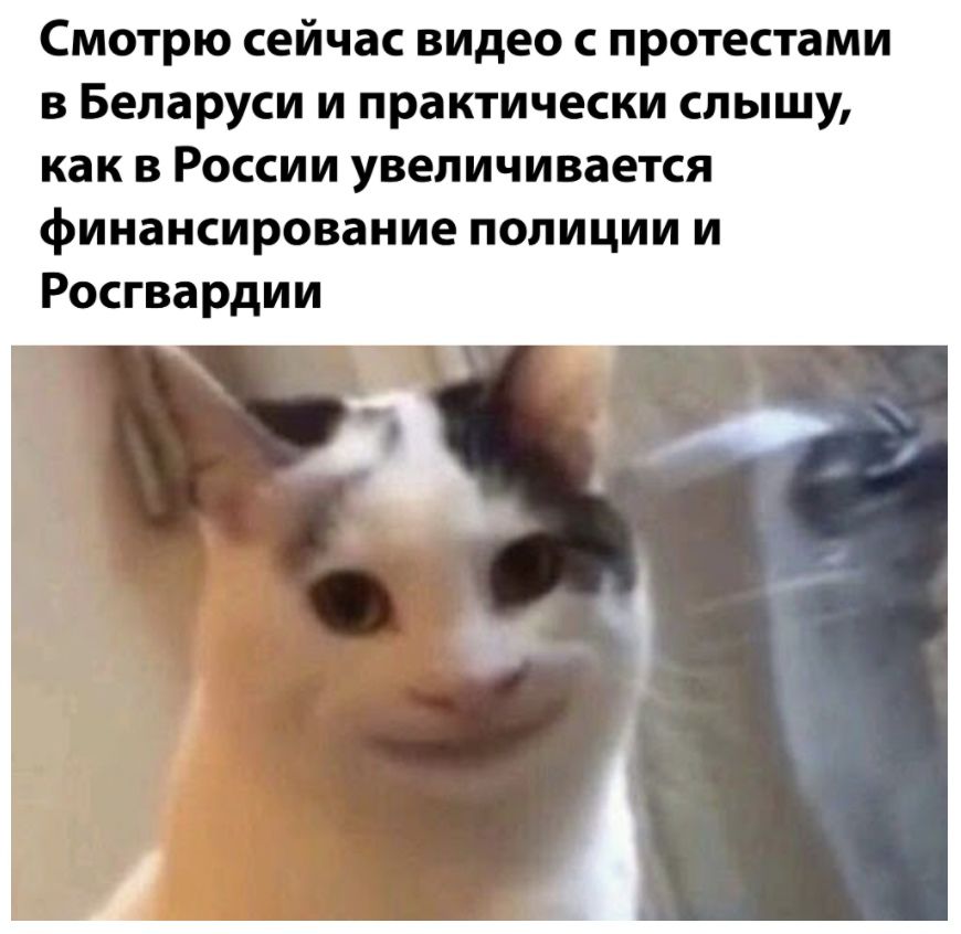 Смотрю сейчас видео с протестами в Беларуси и практически слышу как в России увеличивается финансирование полиции и Росгвардии