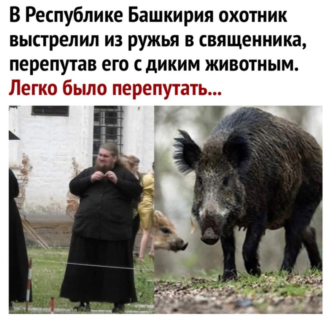 В Республике Башкирия охотник выстрелил из ружья в священника перепутав его с диким животным Легко было перепутать