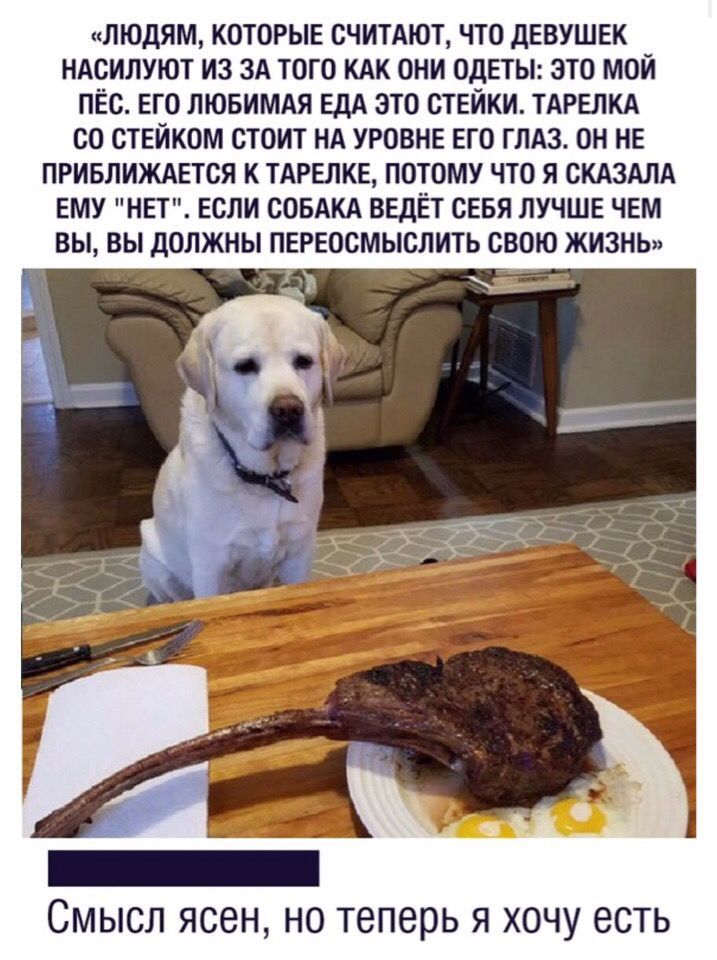 ЛЮДЯМ КОТОРЫЕ СЧИТАЮТ ЧТО ДЕВУШЕК НАСИЛУЮТ И3 ЗА ТОГО КАК ОНИ ОДЕТЫ ЭТО МОИ ПЕС ЕГО ЛЮБИМАЯ ЕДА ЭТО СТЕЙКИ ТАРЕЛКА СО СТЕИКОМ СТОИТ НА УРОВНЕ ЕГО ГЛАЗ ОН НЕ ПРИБЛИЖАЕТСЯ К ТАРЕЛКЕ ПОТОМУ ЧТО Я СКАЗАЛА ЕМУ НЕТ ЕСЛИ СОБАКА ВЕДЕТ СЕБЯ ЛУЧШЕ ЧЕМ ВЫ ВЫ ДОЛЖНЫ ПЕРЕОСМЫСЛИТЬ СВОЮ ЖИЗНЬ Смысл ясен но теперь я хочу есть
