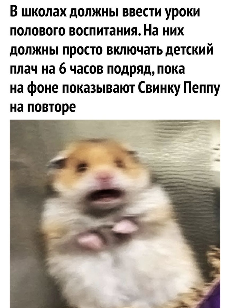 В школах должны ввести уроки полового воспитания На них должны просто включать детский плач на 6 часов подряд пока на фоне показывают Свинку Пеппу на повторе