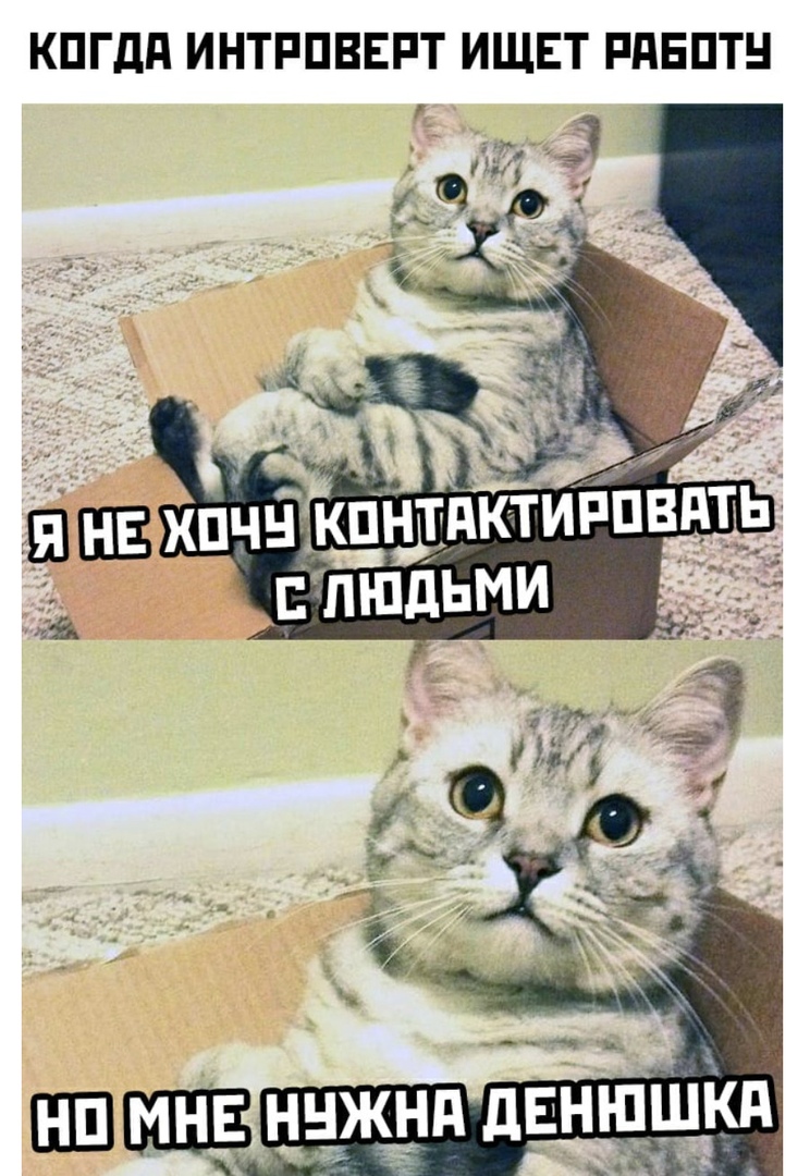 КПГдд ИНТРПВЕРТ ИЩЕТ РдЕПТН