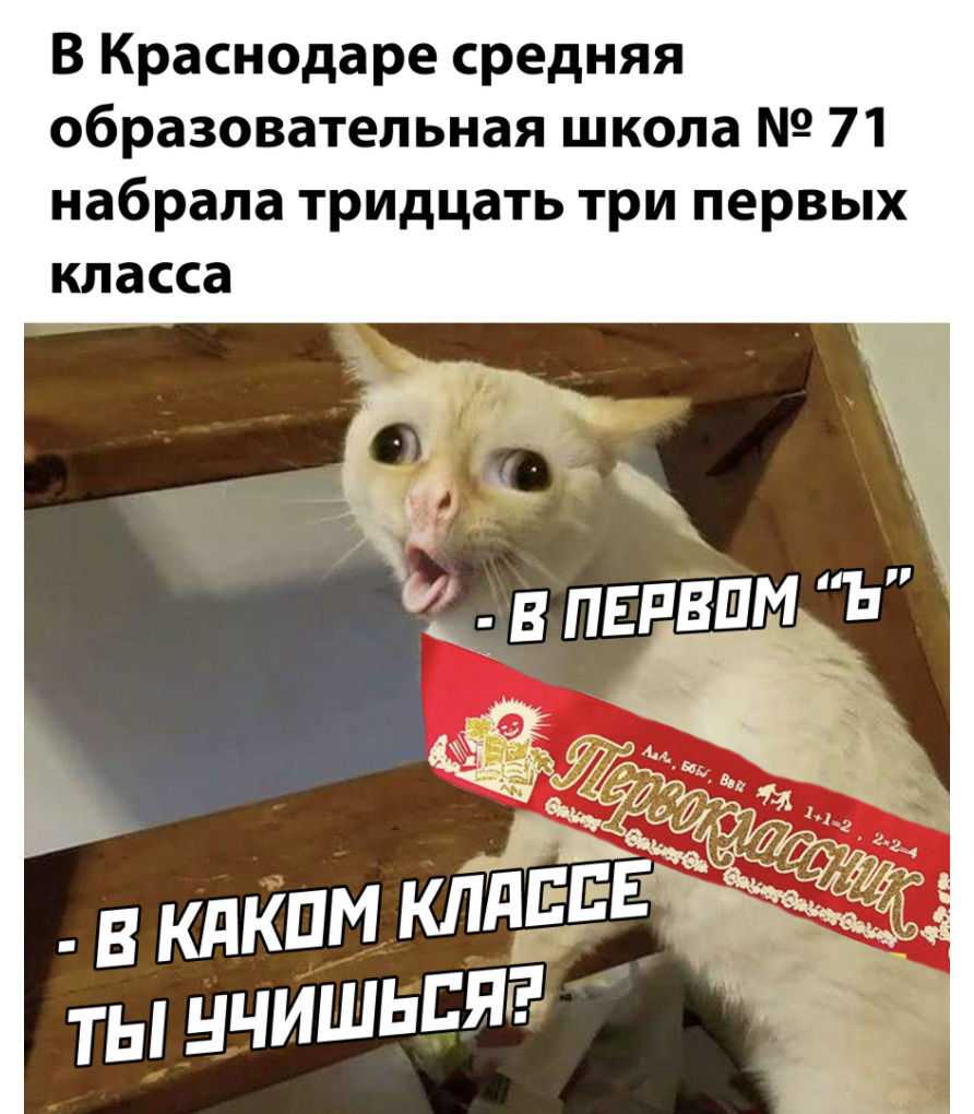 В Краснодаре средняя образовательная школа 71 набрала тридцать три первых класса