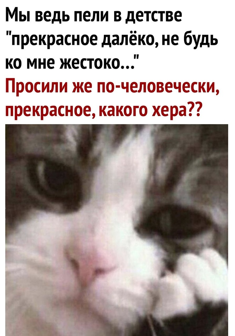 Мы ведь пели в детстве прекрасное далёко не будь ко мне жестоко Просили же почеловечески прекрасное какою хера