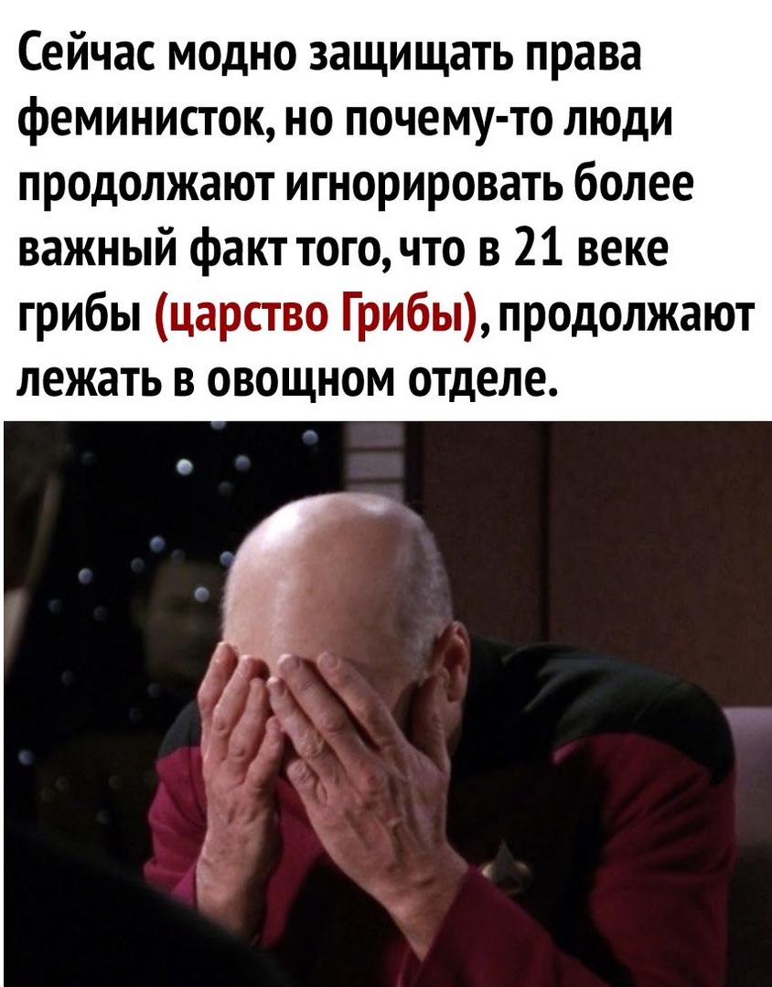 Сейчас модно защищать права феминисток но почему то люди продолжают игнорировать более важный факт тогочто в 21 веке грибы царство Грибы продолжают лежать в овощном отделе
