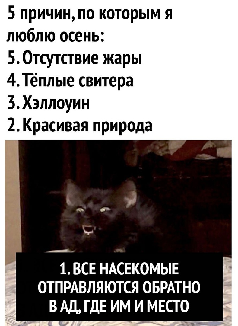 5 причин по которым я люблю осень 5 Отсутствие жары 4 Тёплые свитера 3Хэллоуин 2 Красивая природа 1 ВСЕ НАСЕКОМЫЕ ОТПРАВЛЯЮТСЯ ОБРАТНО ВАД ГДЕ ИМ И МЕСТО