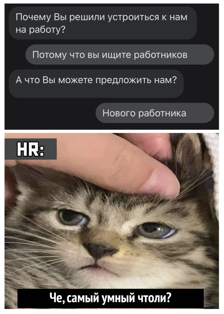Почему Вы решили устроиться к нам на работу Потому что вы ищите работников А что Вы можете предложить нам Нового работника