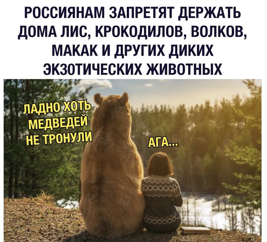 РОССИЯНАМ ЗАПРЕТЯТ ДЕРЖАТЬ ДОМА ЛИС КРОКОДИЛОВ ВОЛКОВ МАКАК И ДРУГИХ ДИКИХ ЭКЧОЗИЧЕСКИХ ЖИВОТНЫХ
