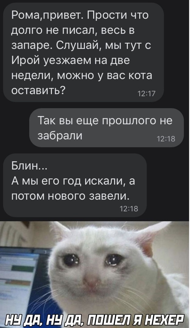Ромапривет Прости что долго не писал весь в запаре Слушай мы тут с Ирой уезжаем на две НЕДЕЛИ МОЖНО У ВЭС КОТЭ оставить 7 Так вы еще прошлого не забрали 1218 Блин А МЫ его ГОД ИСКЭЛИ а ПОТОМ НОВОГО завели