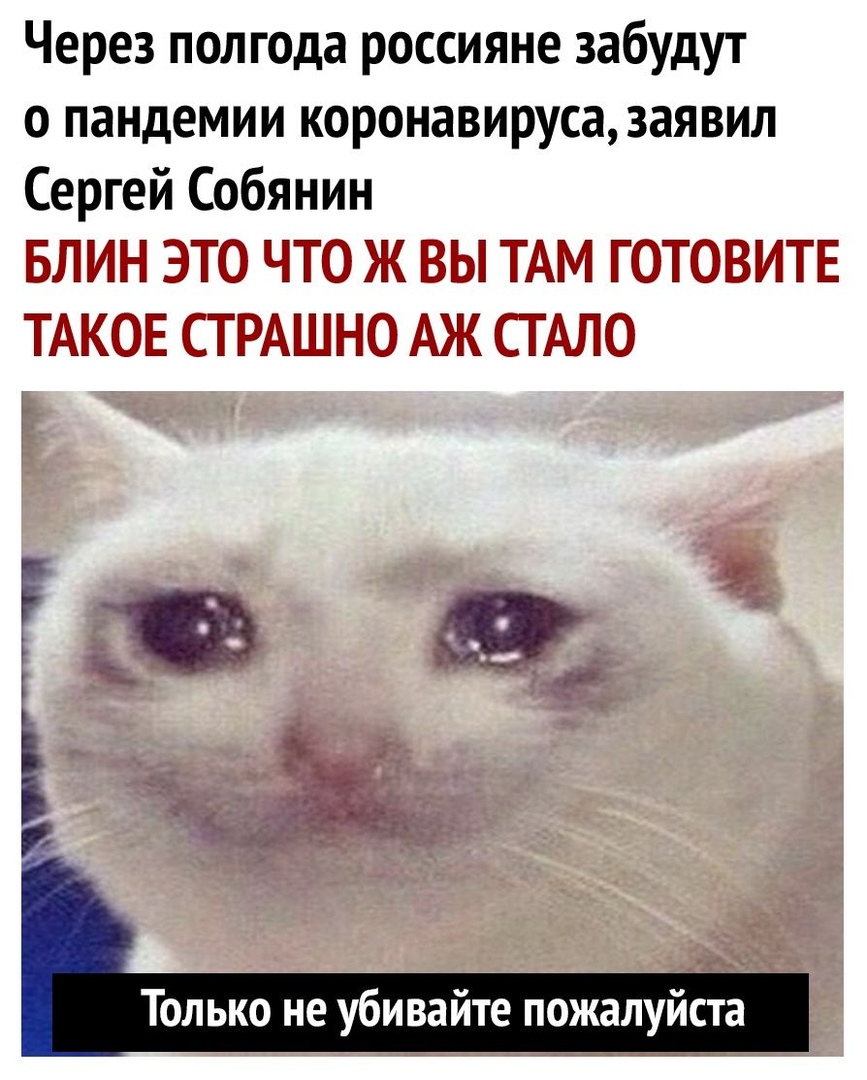 Через полгода россияне забудут о пандемии коронавируса заявил Сергей Собянин БЛИН ЭТО ЧТО Ж ВЫ ТАМ ГОТОВИТЕ ТАКОЕ СТ РАШНО АЖ СГ АЛО Только не убивайте пожалуйста