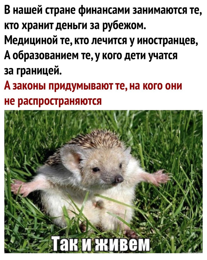 В нашей стране финансами занимаются те кто хранит деньги за рубежом Медициной те кто лечится у иностранцев А образованием теу кого дети учатся за границей А законы придумывают те на кого они не распространяются