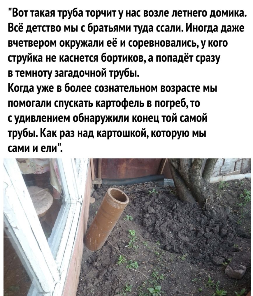 Вот такая труба торчиту нас возле летнего домика Всё детство мы с братьями туда ссали Иногда даже вчетвером окружали её и соревновалисьу кого струйка не каснется бортиков а попадёт сразу в темноту загадочной трубы Когда уже в более сознательном возрасте мы помогали спускать картофель в погреб то с удивлением обнаружили конец той самой трубы Как раз над картошкой которую мы сами и ели