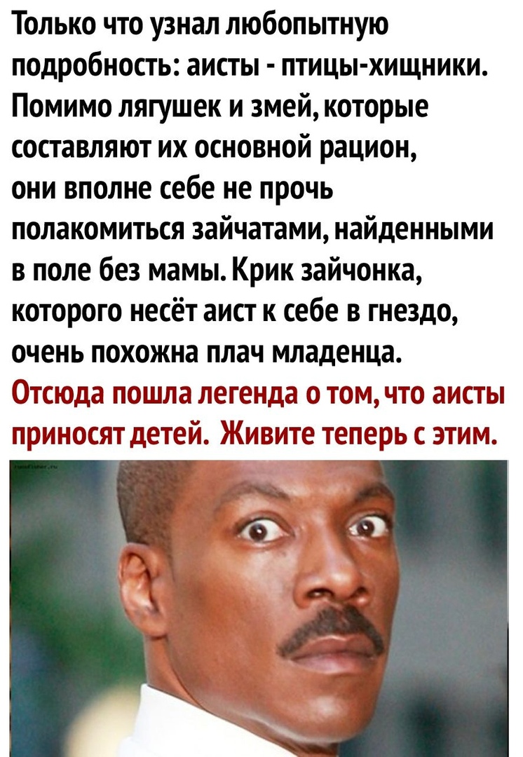 Только что узнал любопытную подробность аисты птицы хищники Помимо лягушек и змей которые составляют их основной рацион они вполне себе не прочь полакомиться зайчатами найденными в поле без мамы Крик зайчонка которого несёт аист к себе в гнездо очень похожна плач младенца Отсюда пошла легенда о том что аисты приносят детей Живите теперь с этим