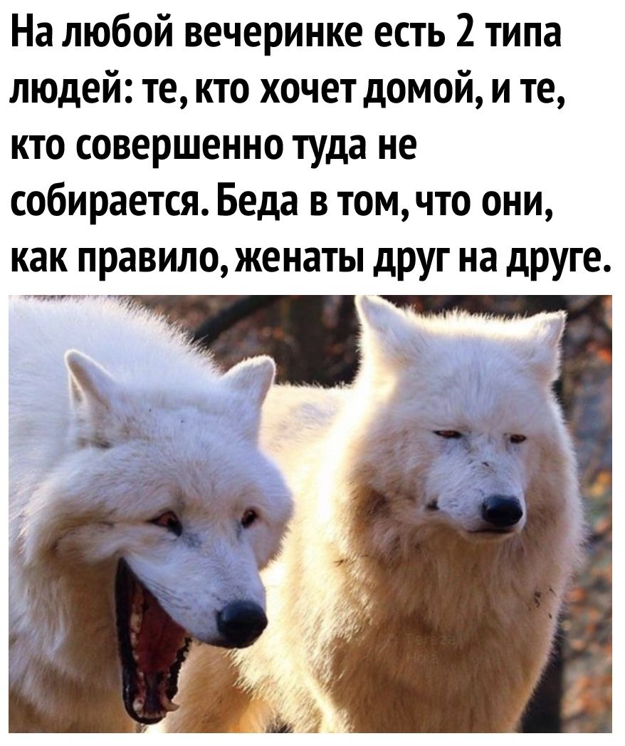 На любой вечеринке есть 2 типа людей те кто хочет домой и те кто совершенно туда не собирается Беда в томчто они как правило женаты друг на друге