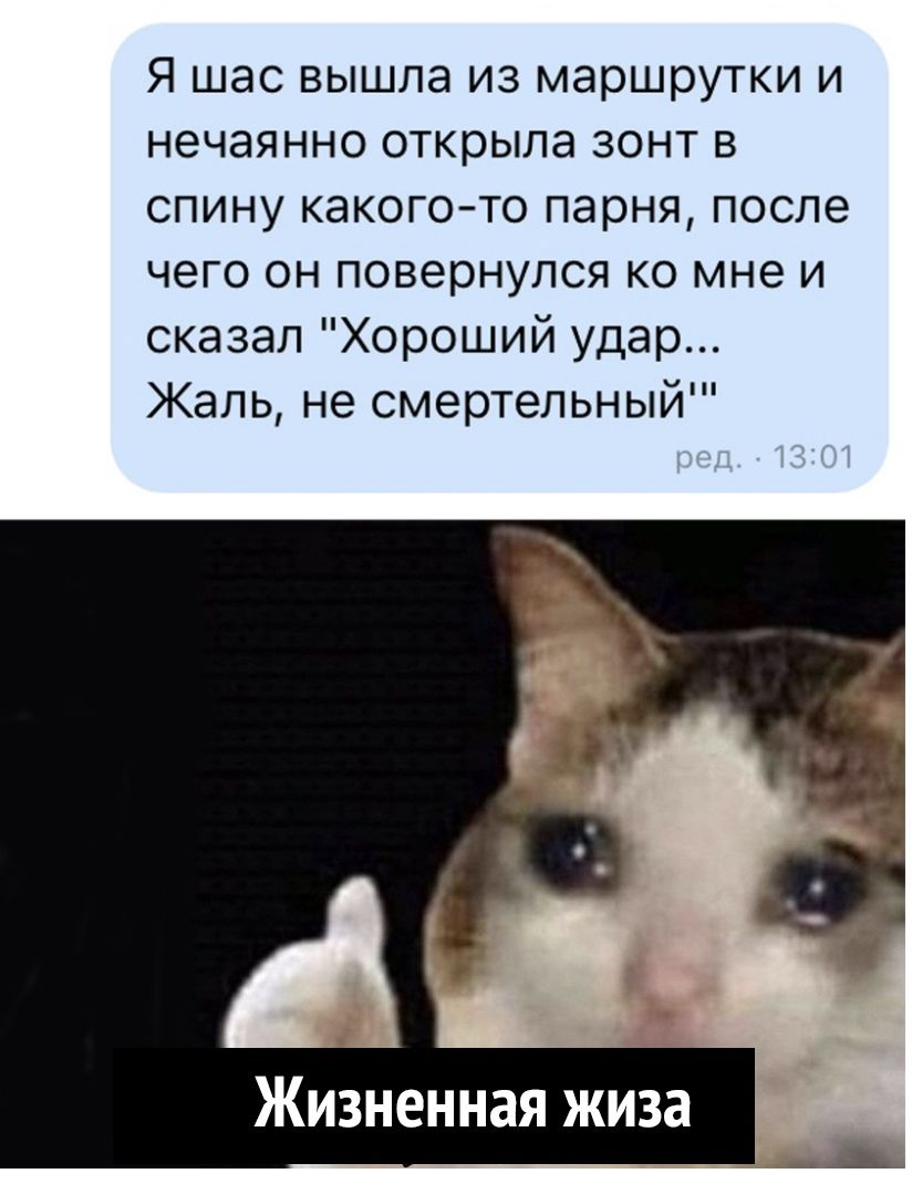 Я шас вышла из маршрутки и нечаянно открыла зонт в спину какого то парня после чего он повернулся ко мне и сказал Хороший удар Жаль не смертельныи Жизненная жиза