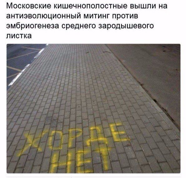 Московские кишечнополостные вышли на антиэвопюционный митинг против эмбриогенеза среднего зародышевого листка