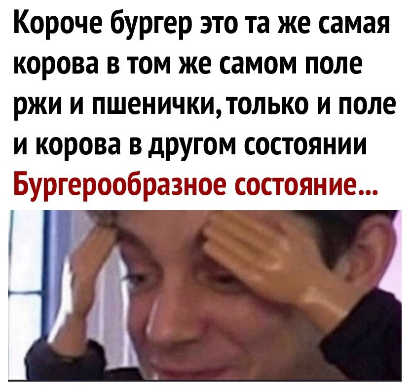 Короче бургер это та же самая корова в том же самом поле ржи и пшеничкитолько и поле и корова в другом состоянии Бургерообразное состояние