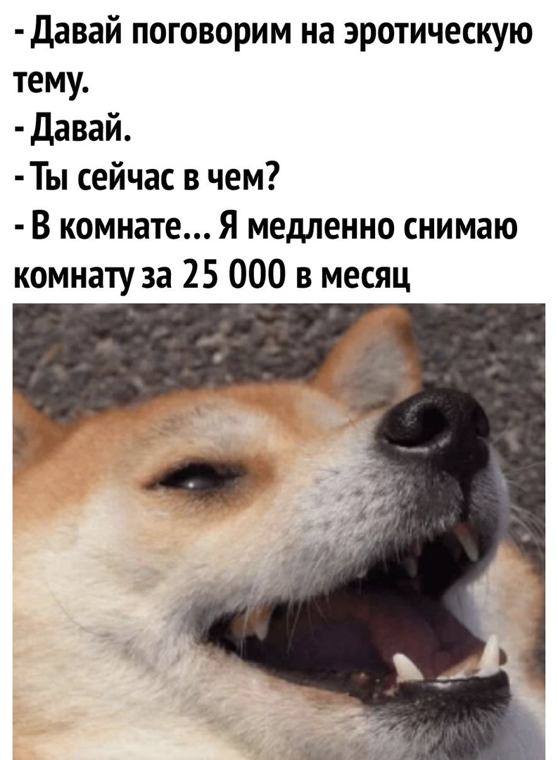Давай поговорим на эротическую тему Давай Ты сейчас в чем В комнате Я медленно снимаю комнату за 25 000 в месяц