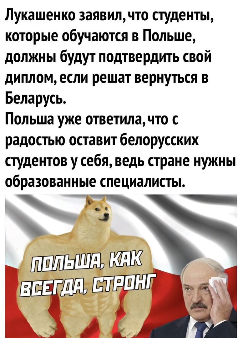 Лукашенко заявил что студенты которые обучаются в Польше должны будут подтвердить свой диплом если решат вернуться в Беларусь Польша уже ответила что с радостью оставит белорусских студентов у себя ведь стране нужны образованные специалисты