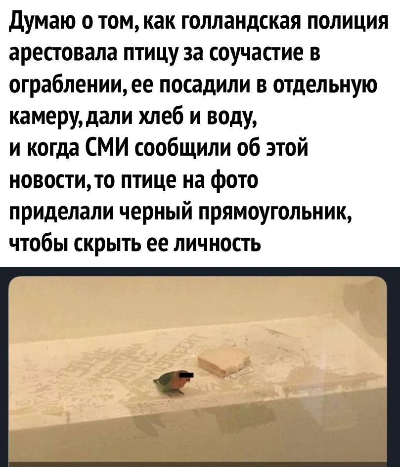 Думаю 0 ТОМ как ГОЛЛЭНДСКЭЯ ПОЛИЦИЯ арестовала птицу за соучастие в ограбленииее посадили в отдельную камеру дали хлеб и воду и когда СМИ сообщили об этой новостито птице на фото приделали черный прямоугольник чтобы скрыть ее личность