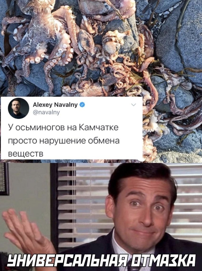 а _ Аіехеу Мачаіпу штатка М У осьминогов на Камчатке просто нарушение обмена веществ ц _ ___ нниввппдльндд пдтімдзкд