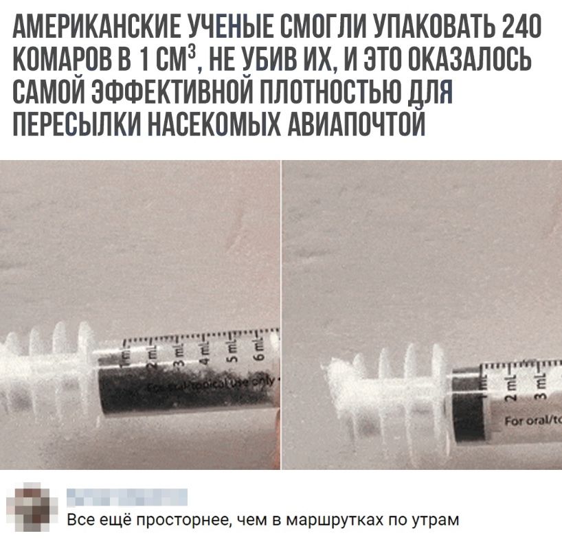 АМЕРИКАНСКИЕ УЧЕНЫЕ СМОГЛИ УПАКОВАТЬ 240 КПМАЕОВ В 1 СМЗ НЕ УБИВ ИХ И ЭТО ОКАЗАЛОСЬ САМОИ ЭФФЕКТИВНОИ ПЛПТНОВТЬЮ ДЛЯ ПЕРЕВЫЛКИ НАСЕКОМЫХ АВИАППЧТПИ Все ещё просторнее чем в маршрутках по утрам