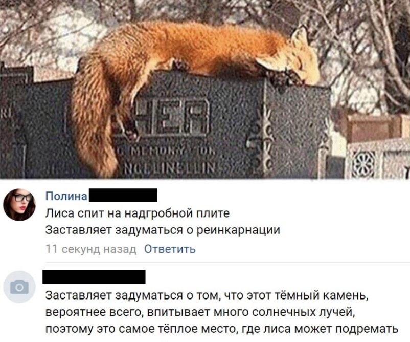 Полина Лиса спит на надгробной плите Заставляет задуматься О реинкарнации П секунд начал Ответить заставляет задуматься О ТОМ ЧТО ЭТОТ ТЁМНЫЙ камень вероятнее ВСЕГО БПИТЫВЗЭТ МНОГО солнечных лучей ПОЭТОМУ ЭТО самое ТёПЛОЭ место где ПИСЗ МОЖЕТ ПОДРЕМЭТЬ