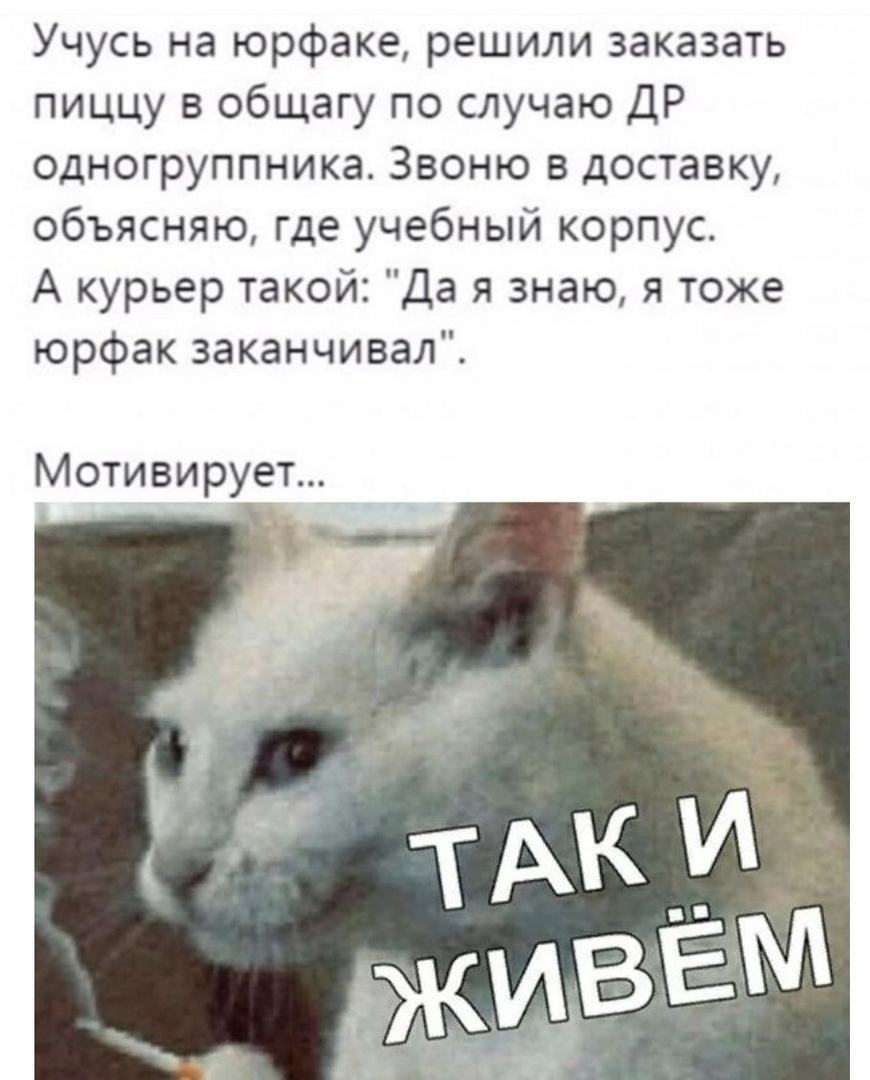 Учусь на юрфаке решили заказать пиццу в общагу по случаю ДР одногруппника Звоню в доставку объясняю где учебный корпус А курьер такой Да я знаю я тоже юрфак заканчивал Мотивирует