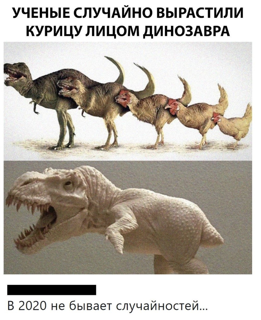УЧЕНЫЕ СЛУЧАЙНО ВЫРАСТИЛИ курицу лицом дИНОЗАВРА В 2020 не бывает случайностей