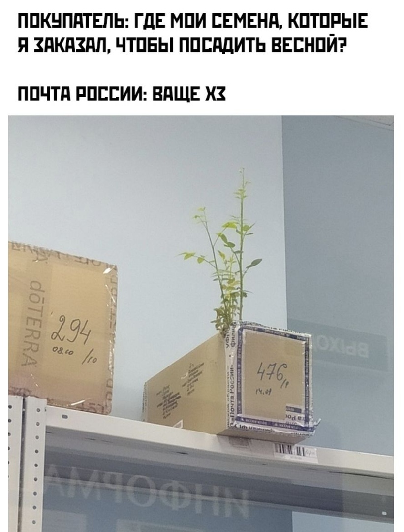 ППКНППТЕПЬ ГДЕ МПИ ЕЕМЕНП КПТПРЫЕ Я ЗПКПЗЛП ЧТПБЫ ППШЩИТЬ ВЕЕНПЙ ППЧТд РПЕЕИИ ВдЩЕ ХЗ