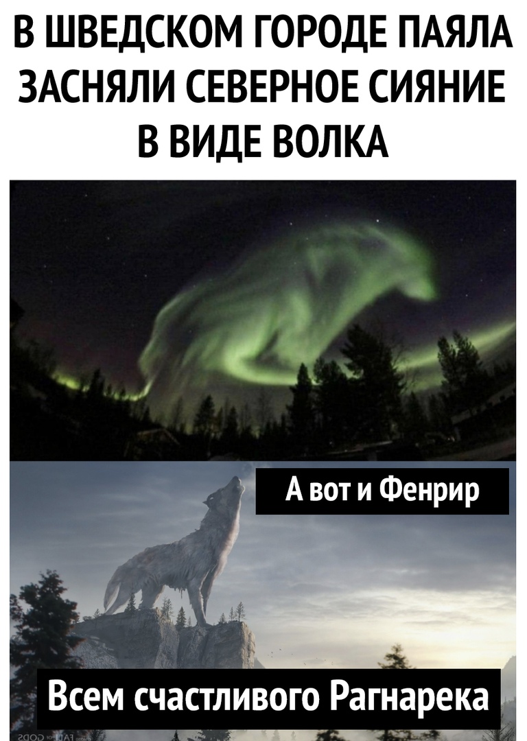 В ШВЕДСКОМ ГОРОДЕ ПАЯЛА ЗАСНЯЛИ СЕВЕРНОЕ СИЯНИЕ В ВИДЕ ВОЛКА Всем счастливого Рагнарека _