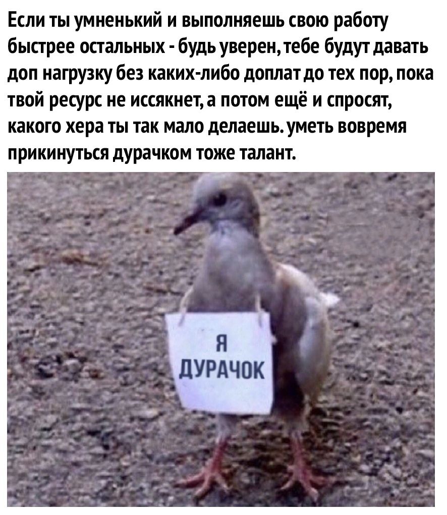 Если ты умненький и выполняешь свою работу быстрее остальных будь уверен тебе будут давать доп нагрузку без каких либо доплат до тех пор пока твой ресурс не иссякнет а потом ещё и спросят какого хера ты так мало делаешь уметь вовремя прикинуться дурачком тоже талант