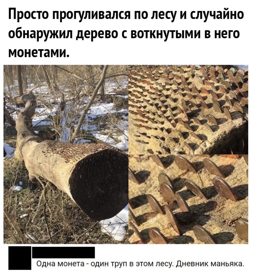 Просто прогуливался по лесу и случайно обнаружил дерево с воткнутыми в него монетами Одна монета ОДИН ТрУП В ЭТОМ лесу ДНЕВНИК маньяка