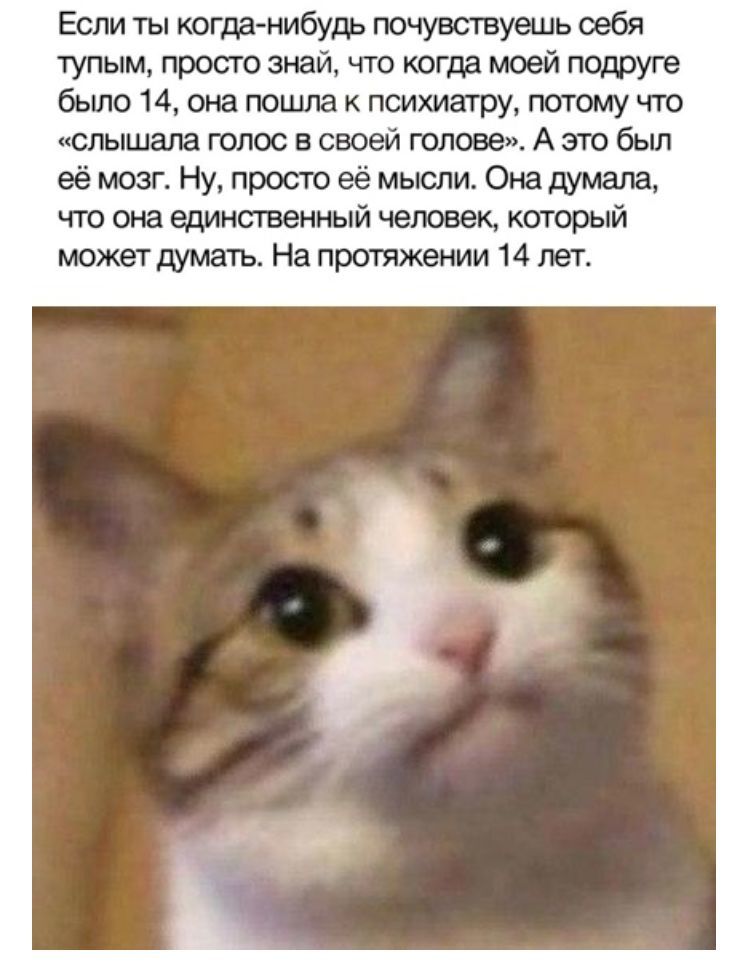 Если ты когда нибудь почувствуешь себя тупым просто знай что когда моей подруге было 14 она пошла к психиатру потому что слышала голос в своей голове А это был её мозг Ну просто её мысли Она думала что она единственный человек который может думать На протяжении 14 лет