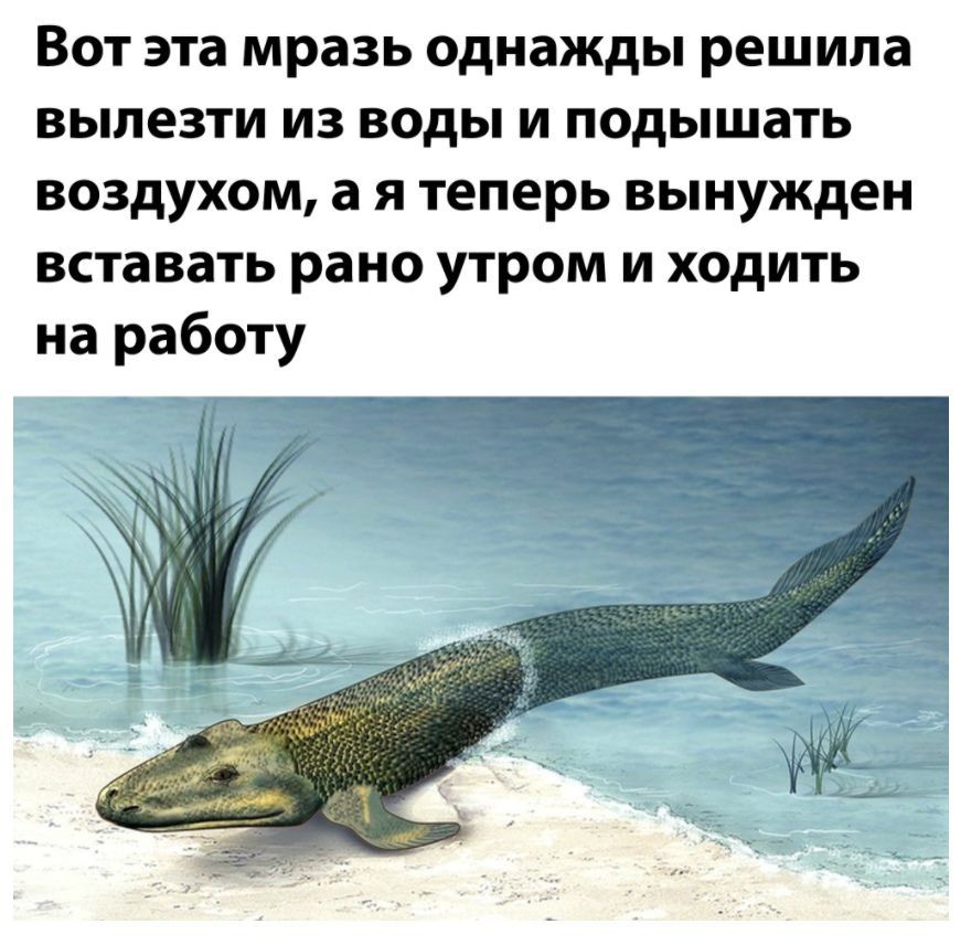 Вот эта мразь однажды решила вылезти из воды и подышать воздухом а я теперь вынужден вставать рано утром и ходить на работу