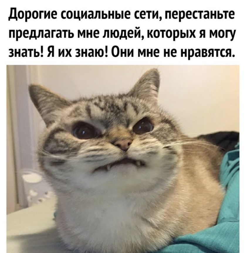 дорогие социальные сети перестаньте предлагать мне людей которых я могу знать Я их знаю Они мне не нравятся