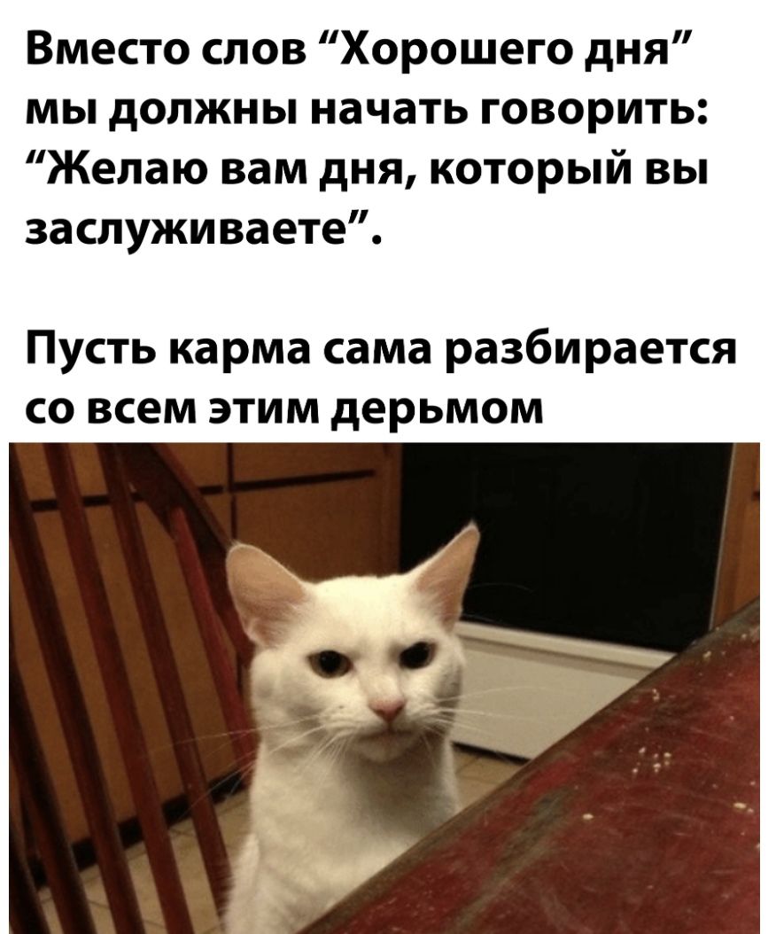 Вместо слов Хорошего дня мы должны начать говорить Желаю вам дня который вы заслужи ваете Пусть карма сама разбирается со всем этим дерьмом