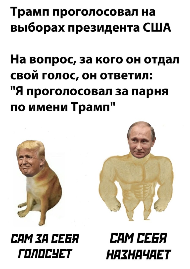 Трамп проголосовал на выборах президента США На вопрос за кого он отдал свой голос он ответил Я проголосовал за парня по имени Трамп ППМ Зд СЕБЯ ППМ СЕБЯ Г ПЛПДНЕ Т НДЗНПЧПЕ Т
