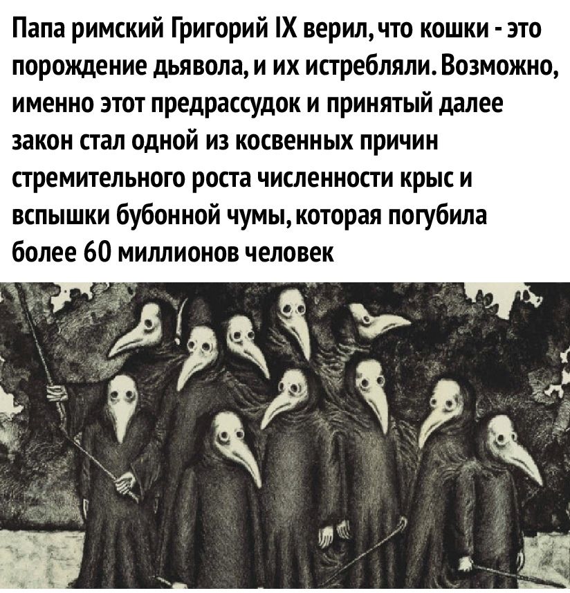 Папа римский Григорий Х верилчто кошки это порождение дьявола и их истребляли Возможно именно этот предрассудок и принятый далее закон стал одной из косвенных причин стремительного роста численности крыс и вспышки бубонной чумы которая погубила более 60 миллионов человек