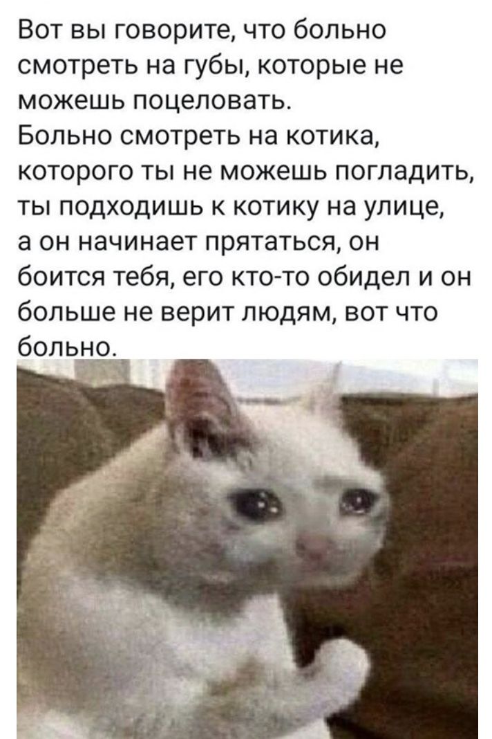 Вот вы говорите что больно смотреть на губы которые не можешь поцеловать Больно смотреть на котика которого ты не можешь погладить ты подходишь к котику на улице а он начинает прятаться он боится тебя его кто то обидел и он больше не верит людям вот что боль_но _