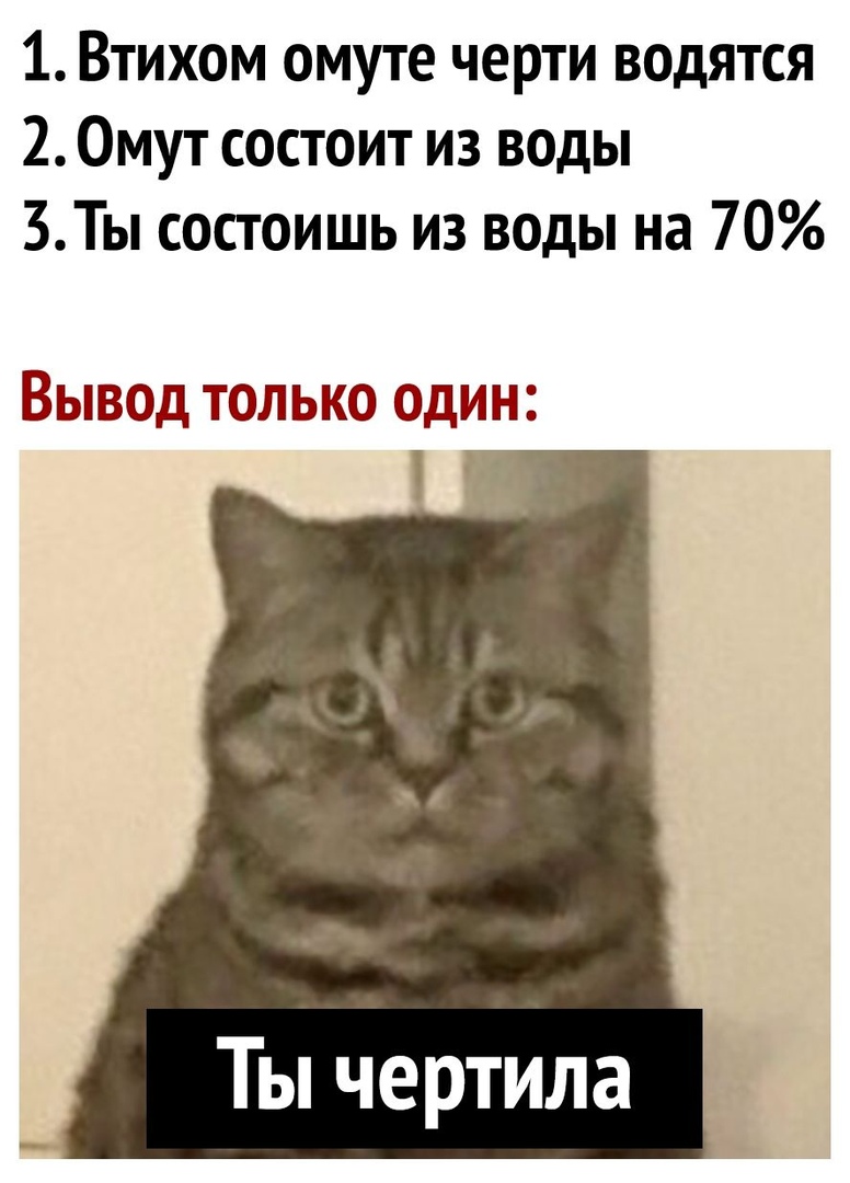 1 Втихом омуте черти водятся 2 Омут состоит из воды 3Ты состоишь из воды на 70 Вывод только один Ты чертила