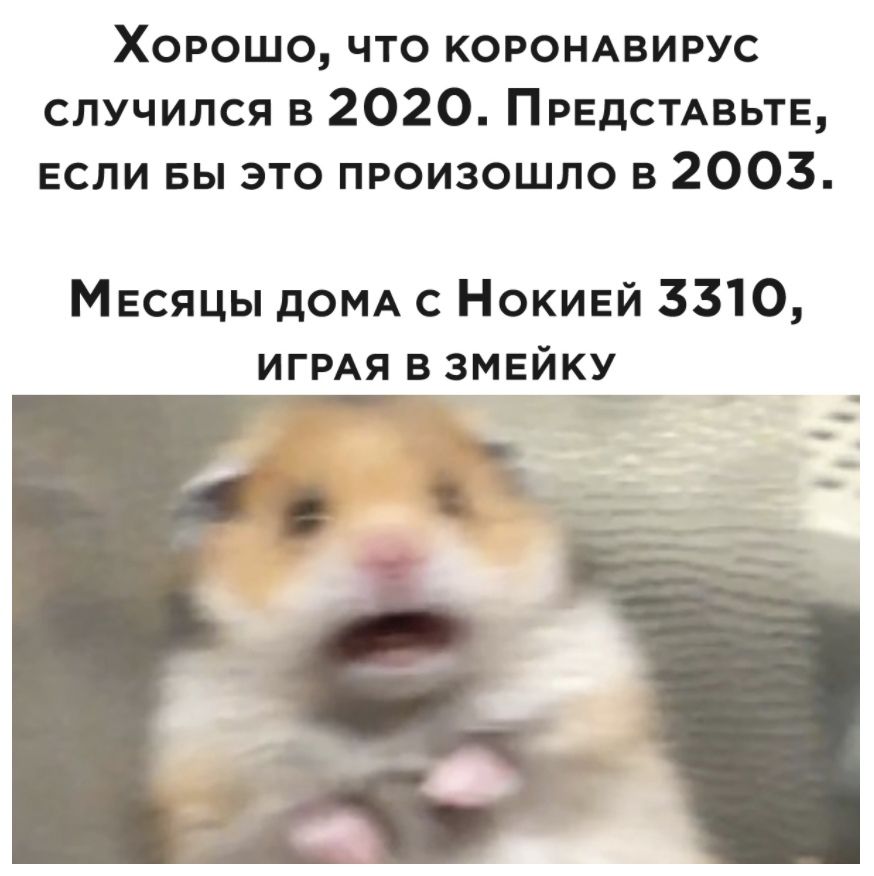 Хорошо что коромвирус случился в 2020 ПРЕДСТАВЬТЕ если вы это произошло в 2003 МЕсяцы дОМА с Нокивй 3310 ИГРАЯ в змейку