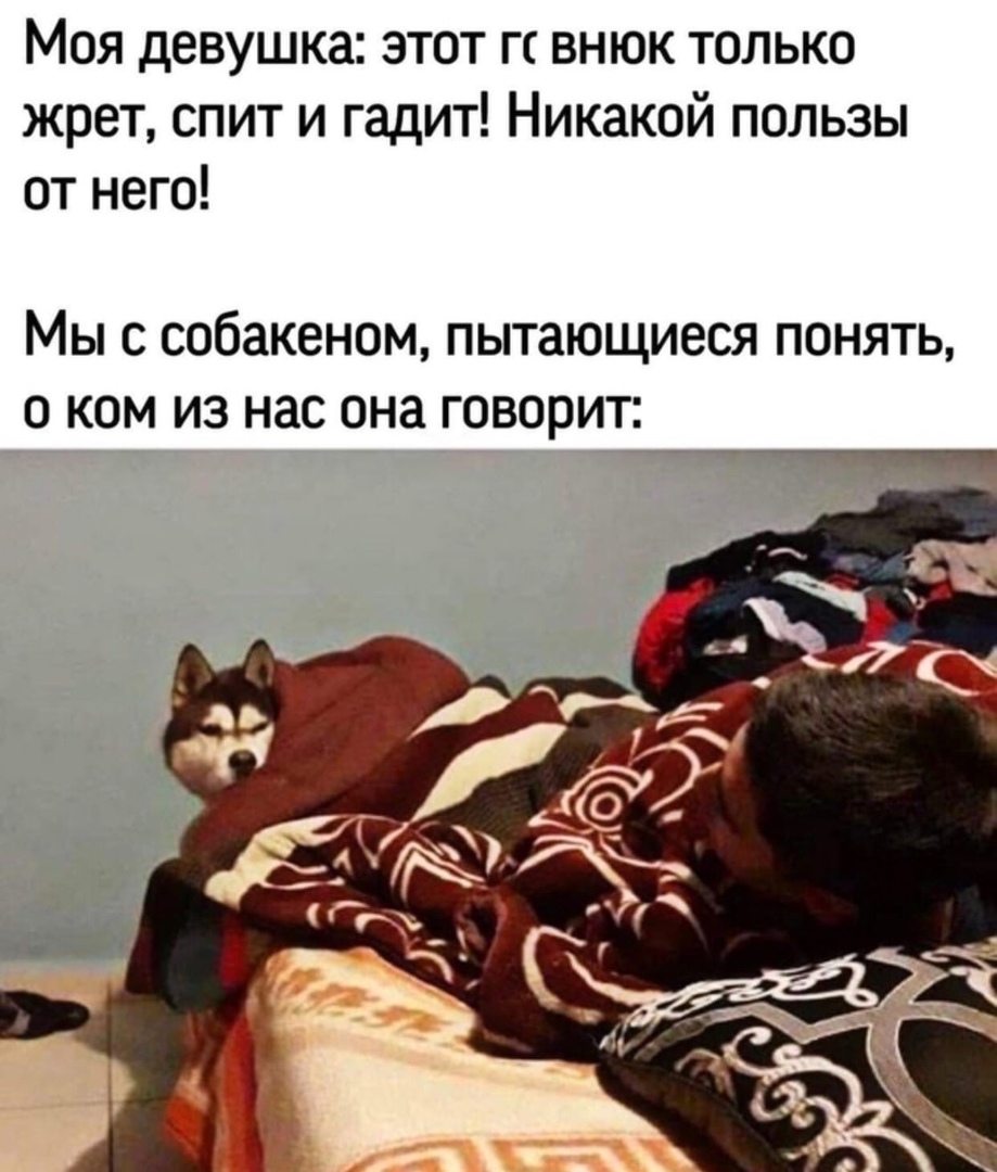 Моя девушка этот гс внюк только жрет спит и гадит Никакой пользы от него Мыс собакеном пытающиеся понять о ком из нас она говорит