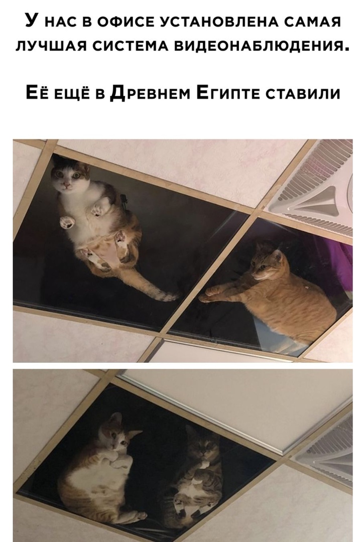 У НАС В ОФИСЕ УСТАНОВЛЕНА САМАЯ ЛУЧШАЯ СИСТЕМА ВИДЕОНАБЛЮДЕНИЯ ЕЁ ЕЩЁ в древнем ЕГИПТЕ СТАВИЛИ
