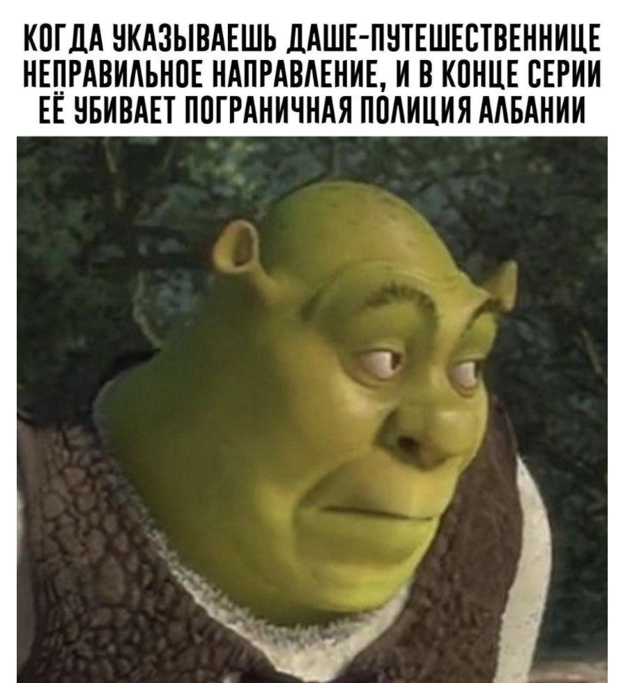КПГДА НКАЗЫВАЕШЬ ДАШЕ ПНТЕШЕВТВЕННИЦЕ НЕПРАВИАЬНПЕ НАПРАВАЕНИЕ И В КПНЦЕ СЕРИИ ЕЕ НБИВАЕТ ППГРАНИЧНАЯ ПОАИЦИЯ АИБАНИИ