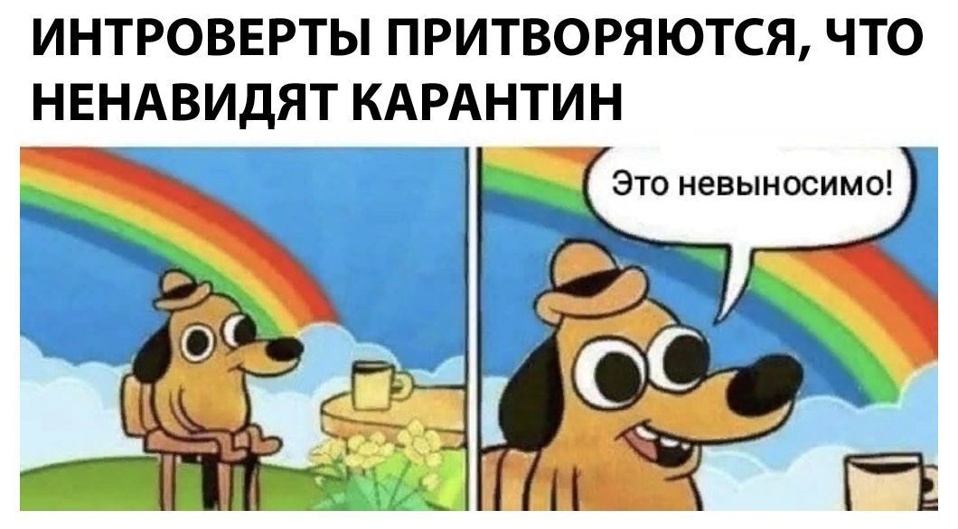 ИНТРОВЕРТЫ ПРИТВОРЯЮТСЯ ЧТО НЕНАВИДЯТ КАРАНТИН Это невыносимо