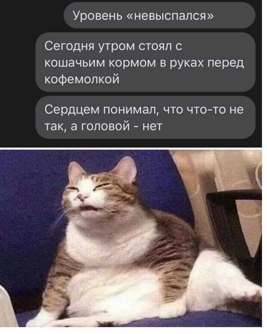 Уровен Ь НЭВЫСПЭЛСЯ Сегодня утром стоял с кошачьим кормом в руках перед кофемолкой сердцем ПОНИМЭЛ ЧТО ЧТО ТО не так а ГОЛОВОЙ НТ