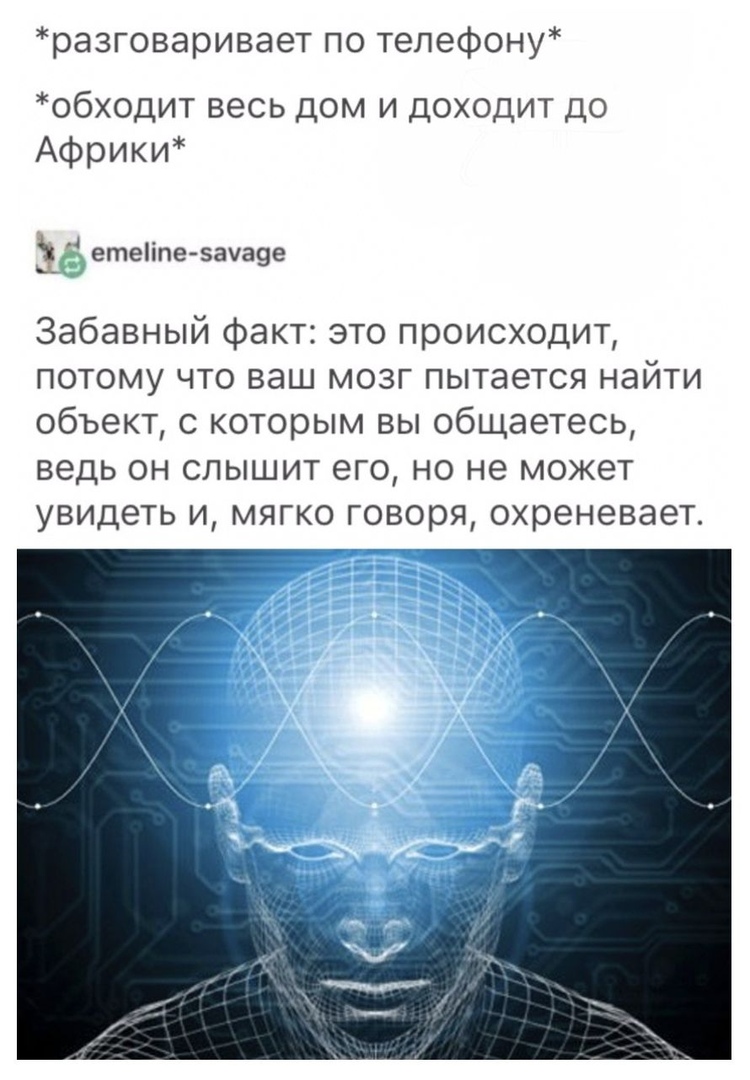 разговаривает по телефону обходит весь дом и доходит до Африки ёё етеііпезауа9е Забавный факт это происходит потому что ваш мозг пытается найти объект с которым вы общаетесь ведь он слышит его но не может увидеть и мягко говоря охреневает